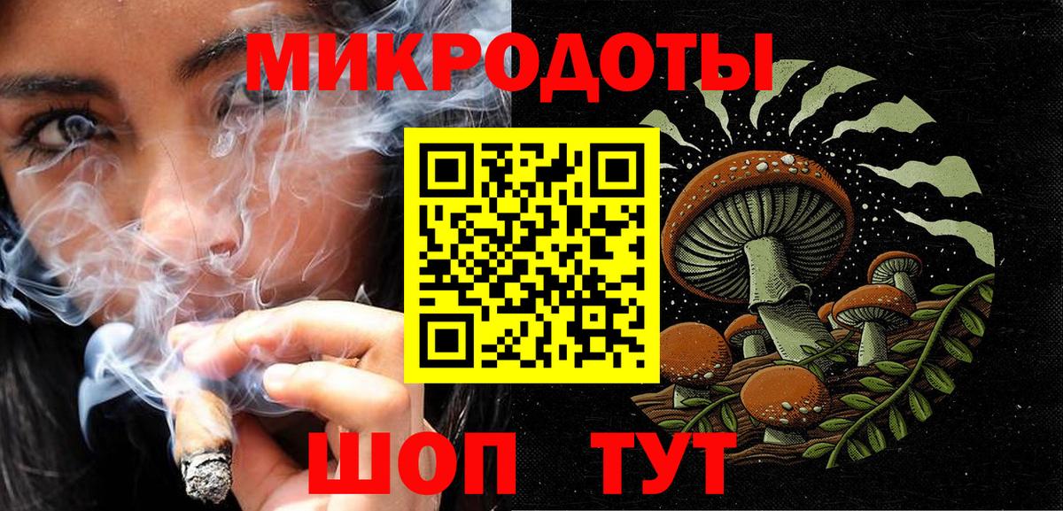 Псилоцибиновые грибы Psilocybe Сызрань