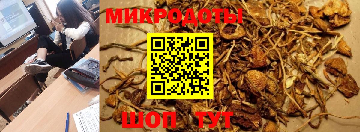 Псилоцибиновые грибы Cubensis  Вход с VPN  Псилоцибиновые грибы мухоморы  Сызрань 